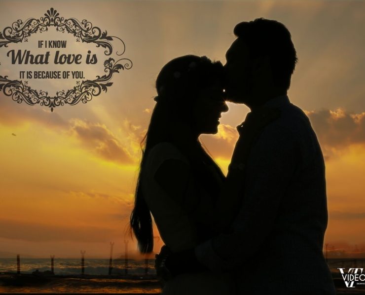 Romantic And Fun Pre Wedding Photoshoot Poses Videotailor